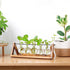 Glass Planter Bulb Vase with Retro Solid Wooden Stand and Metal Swivel Holder for Hydroponics Plants
